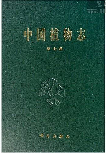 藥王茶文獻(xiàn)記載.png